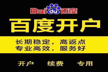 百度推广返点案例：助力企业拓展市场