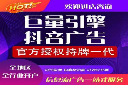 行业领先企业的SEM代理案例剖析